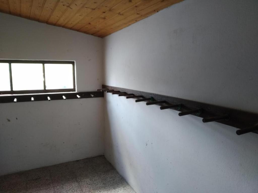 Apartmany Dolni Rokytnice Nad Jizerou Cp 37 Rokytnice nad Jizerou Exterior foto